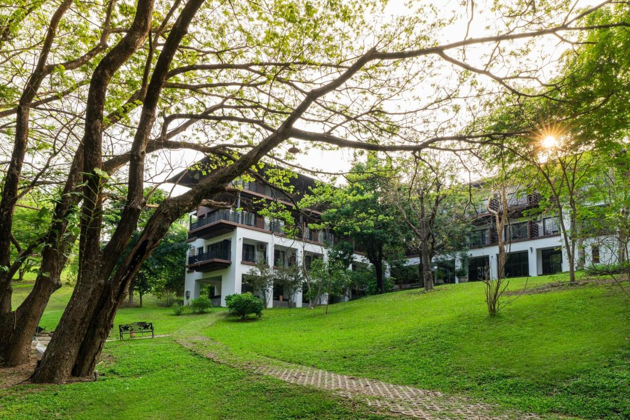 Rain Tree Khao Yai Hotel Пакчонг Экстерьер фото